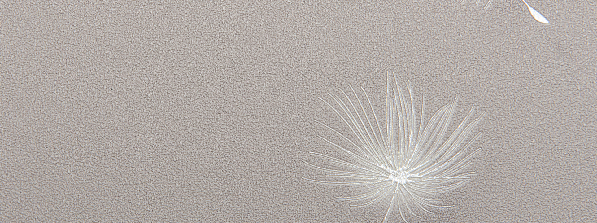 Изображение Andrea Rossi Gavi 54368-4