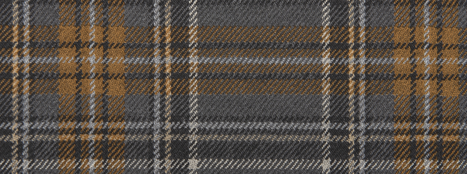 Изображение Rasch Curiosity 537451