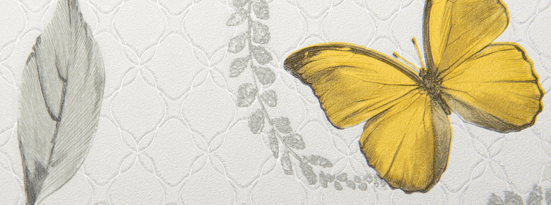 Изображение Andrea Rossi Gallinara 54316-1