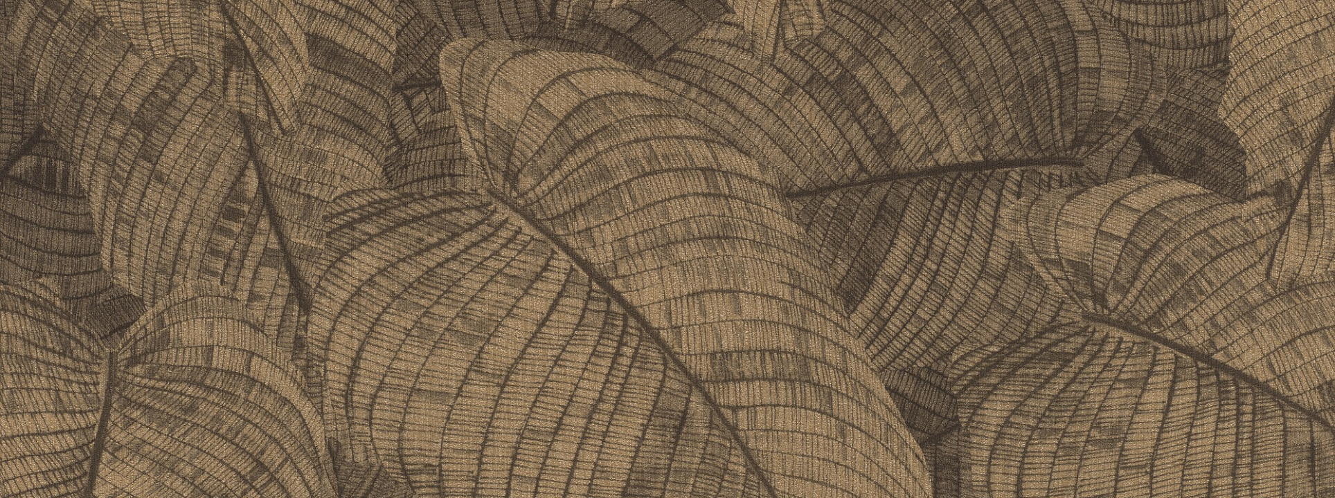 Изображение Rasch Amara 720570