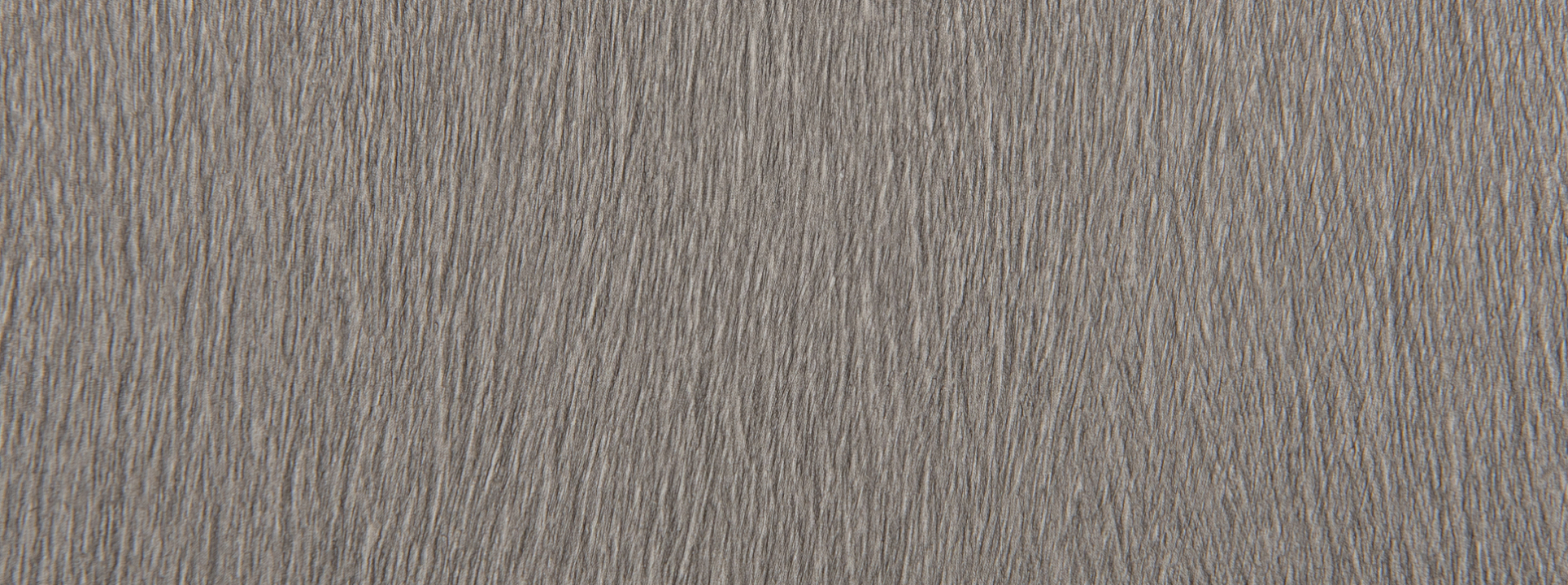 Изображение Rasch African Queen III 751062